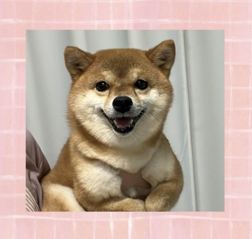 IMG_3294.jpeg