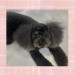 IMG_6389.jpeg