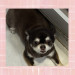 IMG_7493.jpeg
