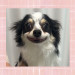 IMG_7716.jpeg