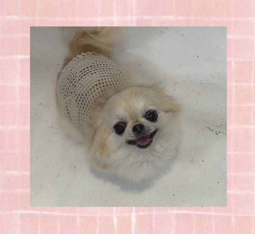IMG_8247.jpeg