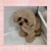 IMG_3170.jpeg