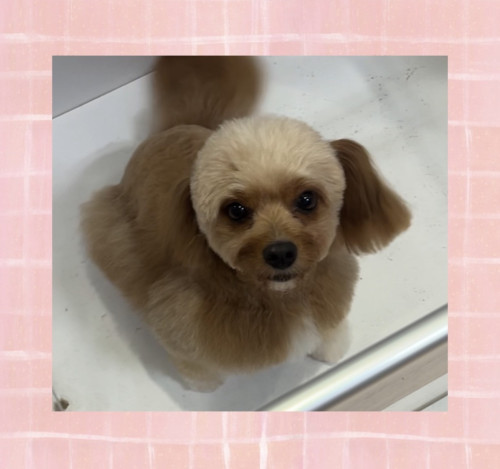 IMG_5446.jpeg
