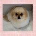 IMG_9449.jpeg