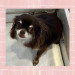 IMG_0051.jpeg