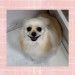 IMG_4607.jpeg