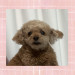 IMG_4615.jpeg