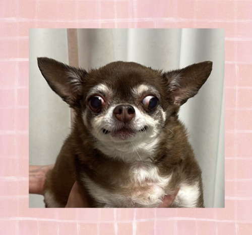 IMG_4622.jpeg