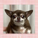 IMG_4622.jpeg