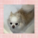 IMG_7383.jpeg