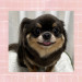 IMG_1160.jpeg