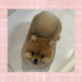 IMG_2730.jpeg