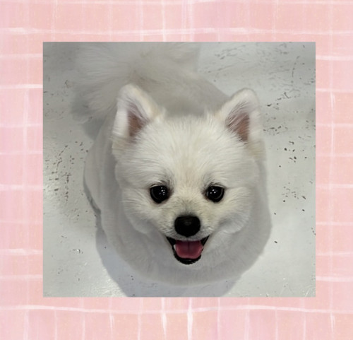 IMG_4350.jpeg