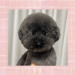 IMG_8251.jpeg