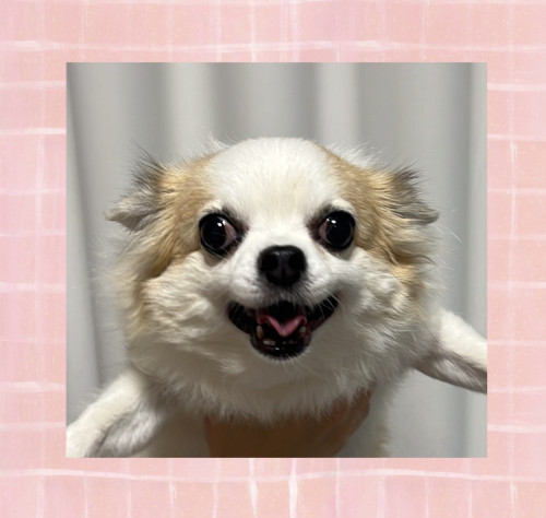 IMG_1710.jpeg