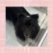 IMG_2010.jpeg