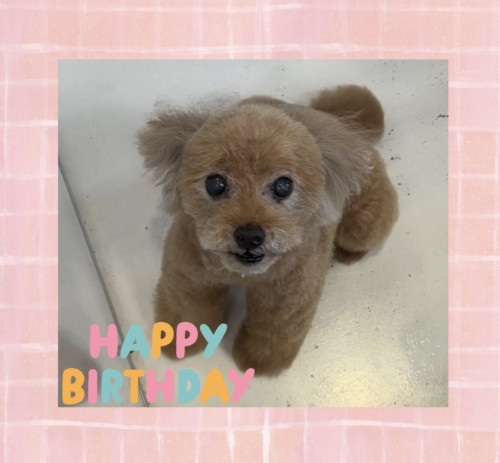 IMG_2623.jpeg