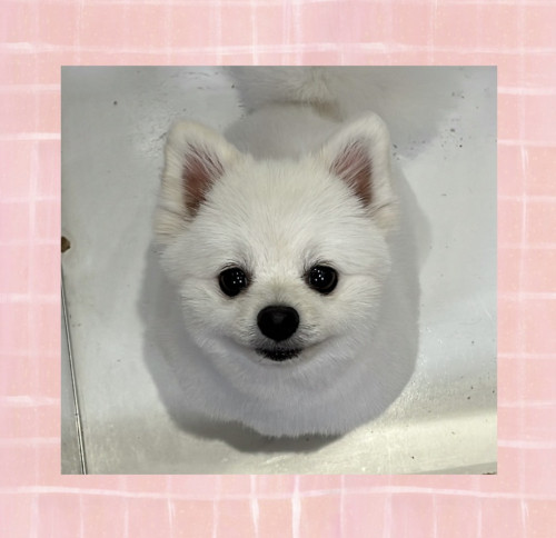 IMG_4658.jpeg
