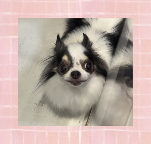IMG_1157.jpeg