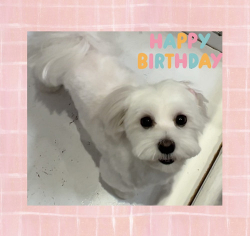 IMG_1153.jpeg
