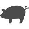 豚のシルエット (1).png