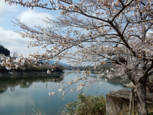 津久井湖をバックに.JPG