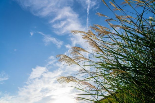 夏の疲れ、残っていませんか？？