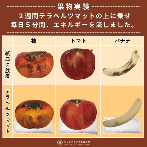 ペリドット修正25.3.7_2.jpg
