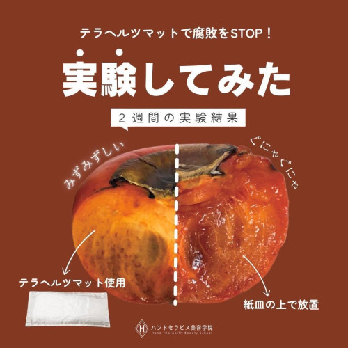 ペリドット修正25.3.7_3.jpg