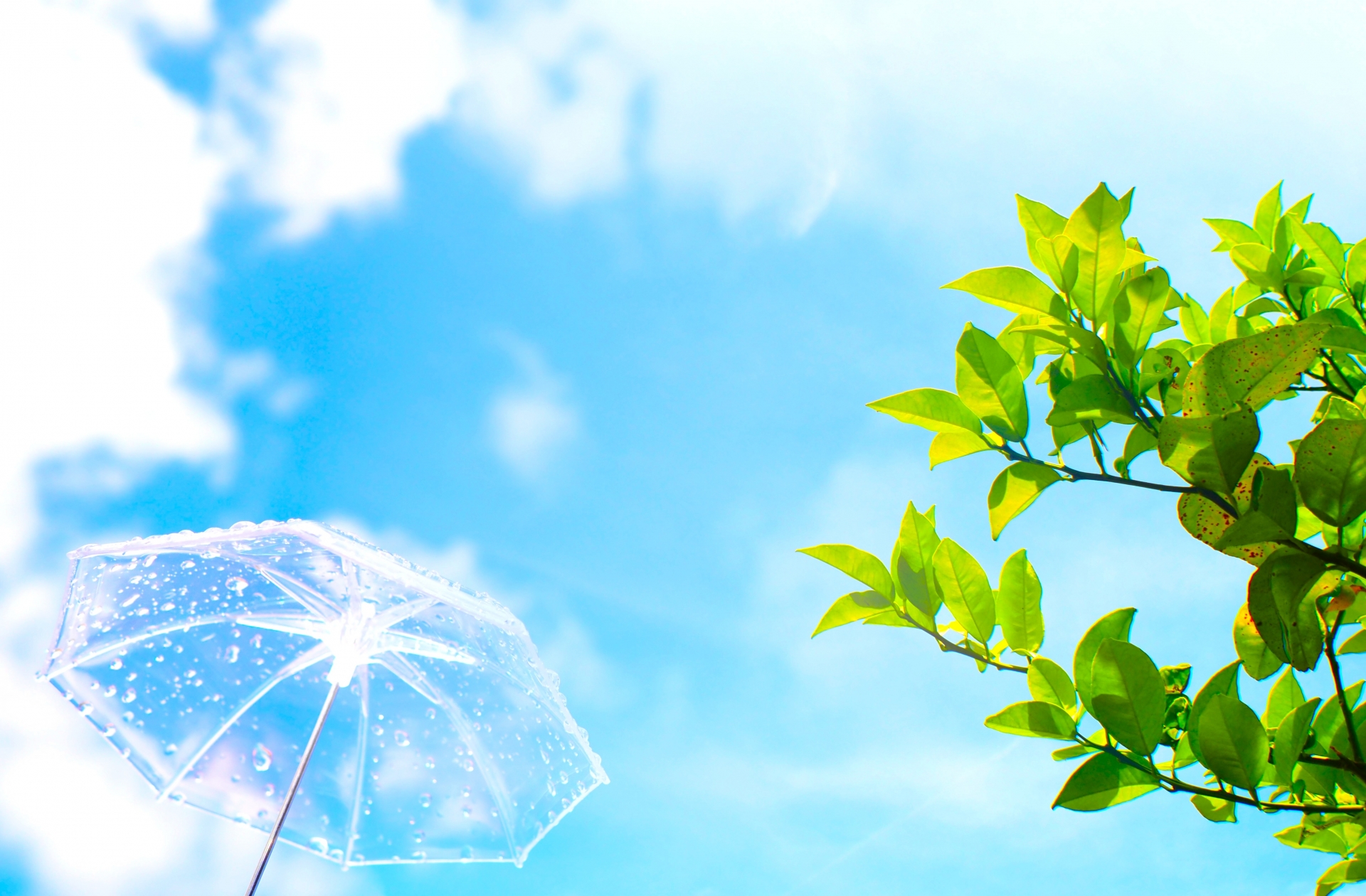 テラヘルツ枕で快眠体験