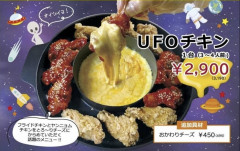UFOチキン　(3〜4人前)