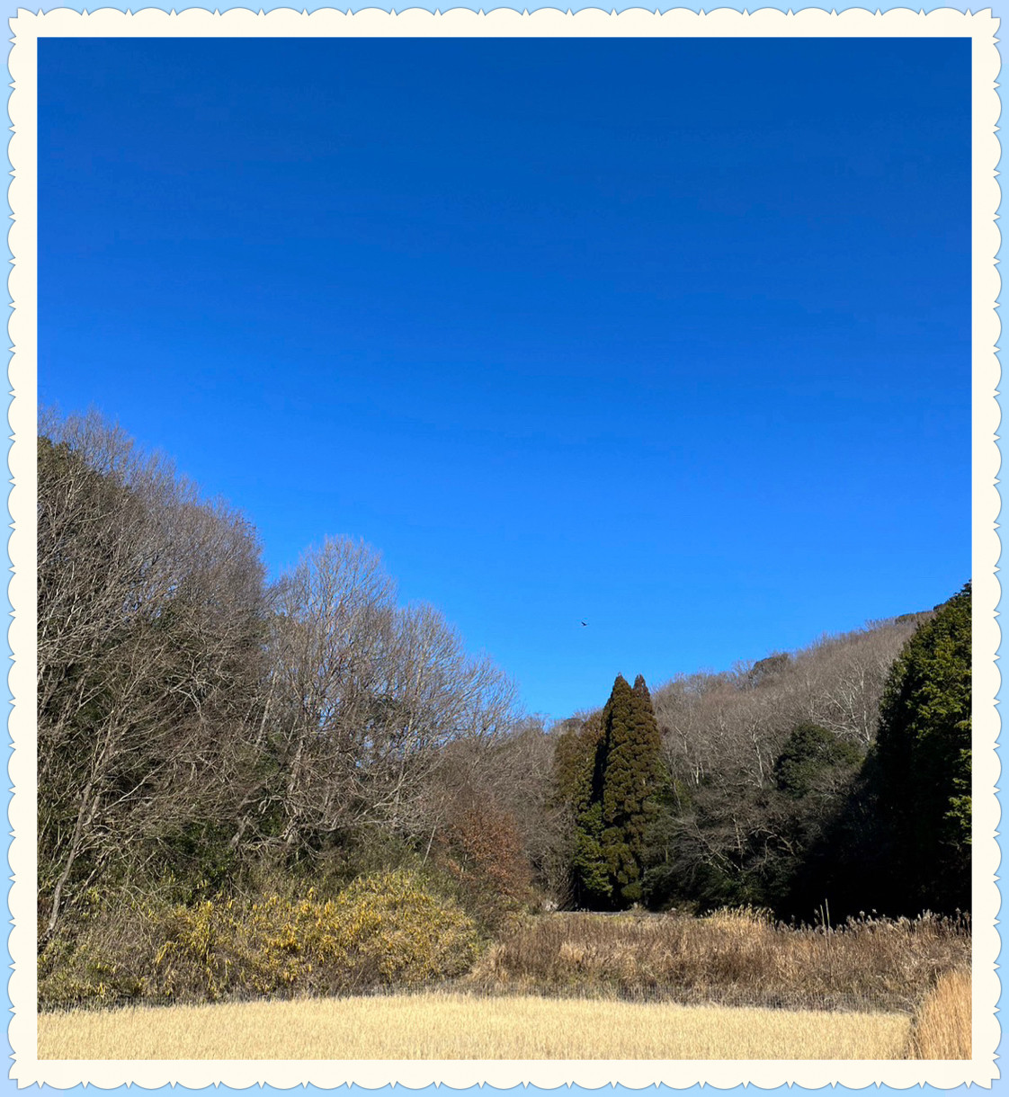 能登半島地震で被災された皆様へ心よりお見舞い申し上げます。