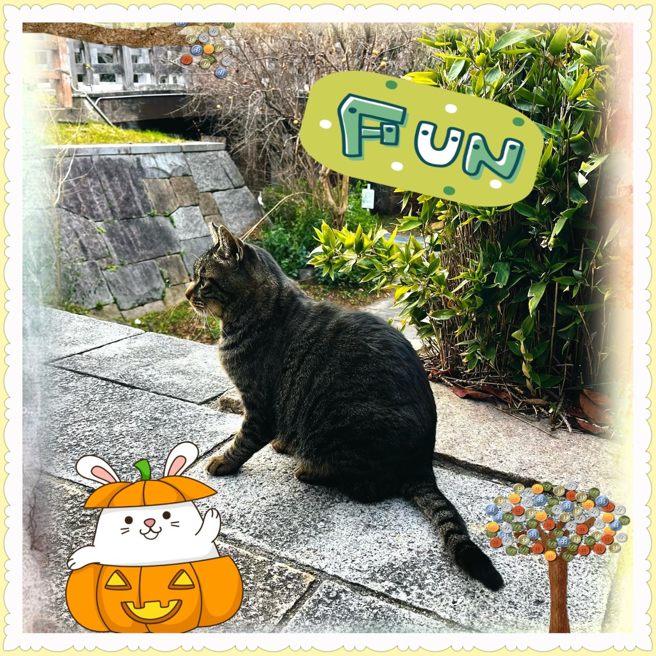 季節の暦は霜降(そうこう)になりました☆