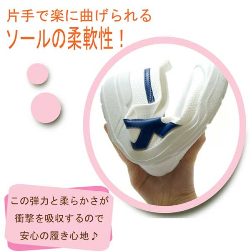 バイオLT01.jpg