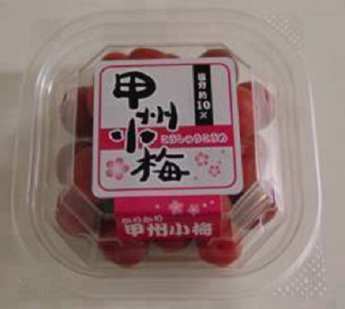 甲州小梅 ＜㈱ヨネヤマ＞ - 農商工連携マッチングフェア2022