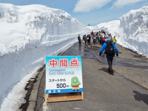蔵王エコーライン雪壁＆白石川一目千本桜ウォーク