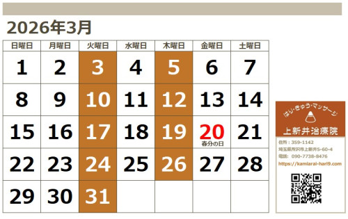 スクリーンショット 2026-02-13 154911.jpg