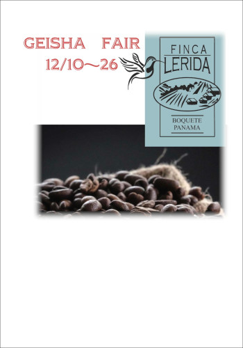 ゲイシャ　特売.JPG
