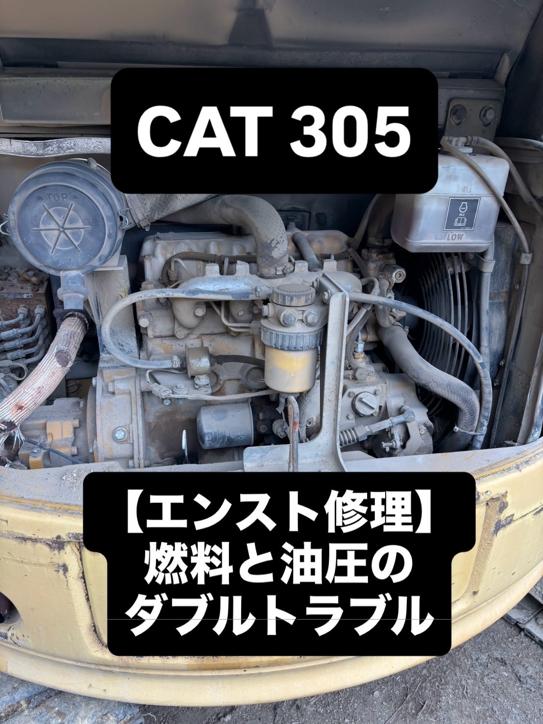 910F238C-9BCD-4BC8-8F49-8CE5C1552241.jpeg