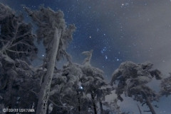 【019】樹氷に輝く冬の大三角（長野県 北八ヶ岳）2008年1月.jpg