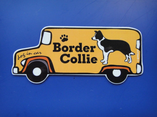 Border Collie01bn.jpg