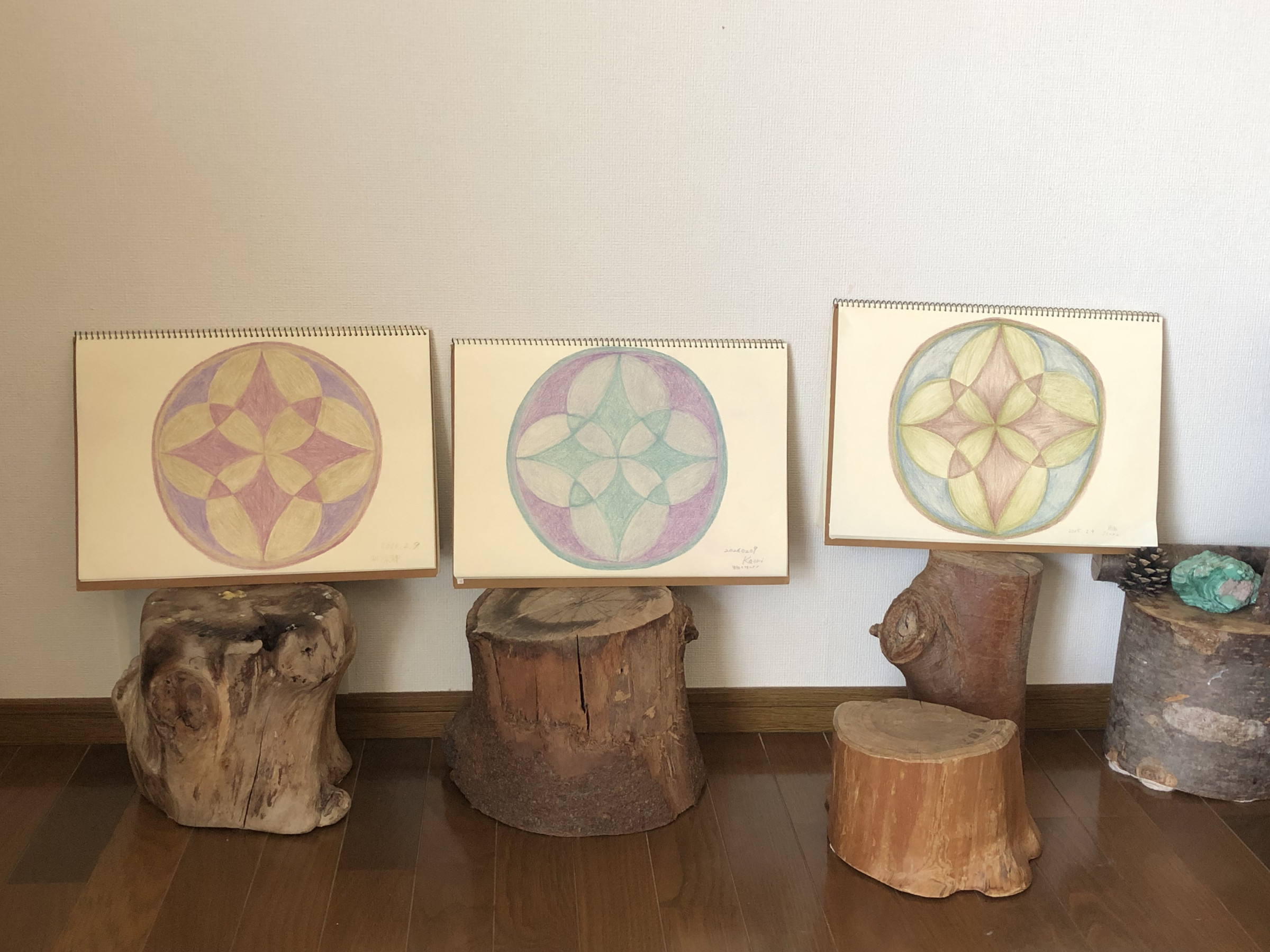 ごろんぎつねクラス　幾何学の花