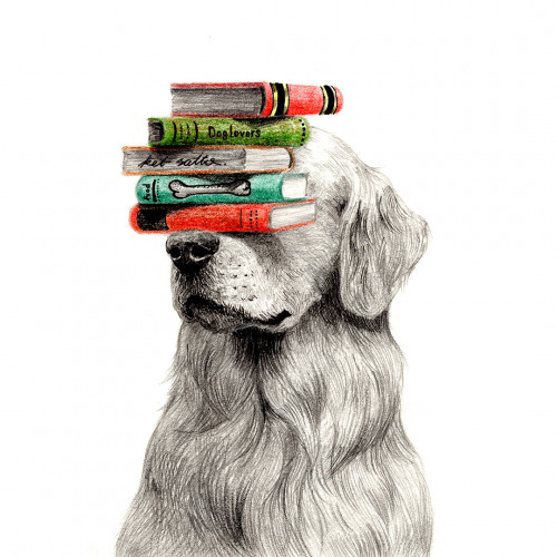 #1_Dog and  Books.jpg