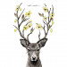 #5_Deer.jpg