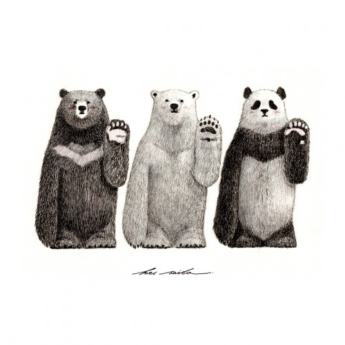 #7_Bears.jpg