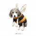 #11_Beegle.jpg
