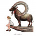 #53_Ibex.jpg