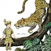 #54_Leopard.jpg