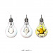 #62_Light up.jpg