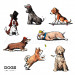 #63_DOGS.jpg